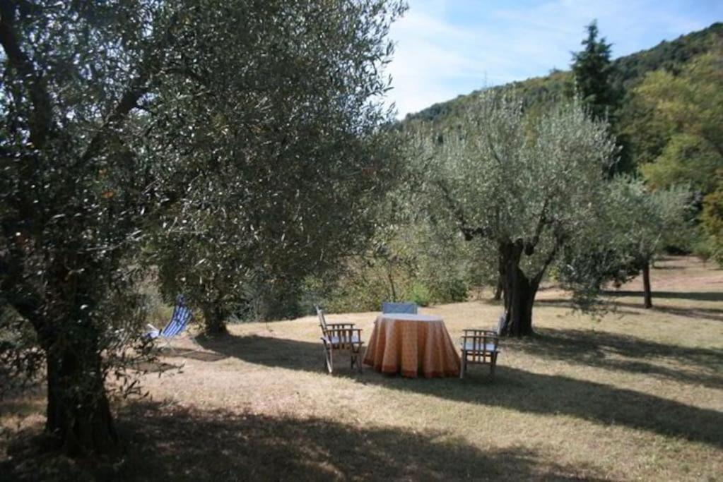Вилла Podere Gli Oppi Toscana Petroio Экстерьер фото